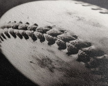 Carregar imagem no visualizador da galeria, Framed Baseball Print, Black and White Baseball Picture, Sports Wall Decor, Boys Room Wall Decor, Baseball Player Gift, Baseball Nursery Art
