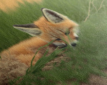 Carregar imagem no visualizador da galeria, Cute Sleeping fox Framed Canvas Wall Art, Canvas Print Decor for Home &amp; Office Decoration Canvas Ready to Hang
