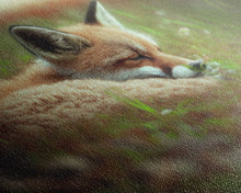 Load image into Gallery viewer, Cute Sleepy Fox Art, Animal Prints, Nature Art, Framed Canvas Print, Cute animal wall art, above sofa art
