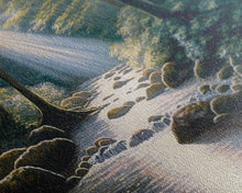 Cargar imagen en el visor de la galería, Colorful Watercolor Art, Framed Canvas Print, unique wall art, framed wall art, Landscape watercolor, Beams of Sunlight piercing the canopy
