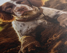 Load image into Gallery viewer, English Springer Spaniel Dog Wall Print, Farmhouse Wall Art, Wall Art, Framed Wall Art, Framed Canvas, Wall Print, Framed Wall Canvas
