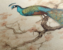 Load image into Gallery viewer, peacock wall art | peacock art print | boho wall art | peacock poster | mid century modern art | home office wall art | Farmhouse Canvas Art
