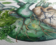 Cargar imagen en el visor de la galería, Florapunk Heart, Anatomical Heart Painting Canvas Print, Watercolor Heart, Human Heart, Pond Heart, Marsh Painting, Waterlily, Lily pads
