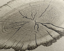Load image into Gallery viewer, Framed Wall Art Canvas Print, Tree Cross Section, Tree Rings, Rustic Art, Farmhouse Decor, Oak Wood Tree Rings, Illustration, Gift For Him
