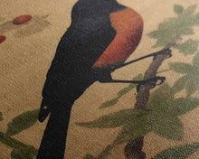 Load image into Gallery viewer, Oriole Wall Decor, Black And Orange Bird Wall Art, Animal Wall Art, Minimalist Print, Wall Decor, Canvas Print, Wall Art, Framed Canvas
