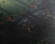 Carregar imagem no visualizador da galeria, Butterfly Wall Decor, Butterfly In Woods, Green Wall Art, Insect Wall Decor, Wall Decor, Canvas Print, Wall Art, Framed Canvas
