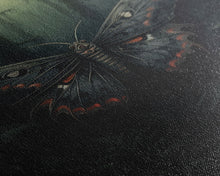 Carregar imagem no visualizador da galeria, Butterfly In Woods, Butterfly Wall Decor, Dark Art, Green Wall Art, Insect Wall Decor, Wall Decor, Canvas Print, Wall Art, Framed Canvas
