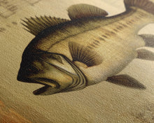 Load image into Gallery viewer, Fish Wall Decor, Animal Wall Art, Nature Wall Art, Minimalist Wall Decor, Panoramic Wall Decor, Canvas Print, Wall Art, Framed Canvas Art
