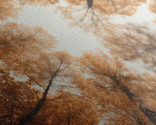 Carregar imagem no visualizador da galeria, Forest Art, Trees Wall Art, Fall Art Print, Panoramic Art, Wall Art, Canvas Art, Landscape Art, Wall Art Prints, Entryway Prints, RV Decor
