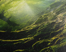 Carregar imagem no visualizador da galeria, Forest Wall Art, Nature Prints, Trees Wall Art, Canvas Print, Wall Art, Vertical Art, Teacher Gift, Over Bed Wall Decor, Bookshelf Decor
