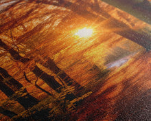 Carregar imagem no visualizador da galeria, Fall Forest Art, Trees Art Print, Nature Wall Art, Sunset Art, Canvas Print, Wall Art, Vertical Art, Dining Room Prints, Hostess Gift
