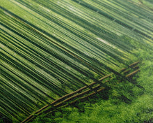 Carregar imagem no visualizador da galeria, Beautiful Photographic Panoramic of Arashiyama Bamboo Grove Kyoto Japan, Framed Canvas Print, Landscape Photography, Landmark Art
