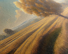 Carregar imagem no visualizador da galeria, A lone tree in a Texas field, Canvas print, Texan art, Prairies, fields and grass, 3 Piece Wall Art, Ready To Hang Canvas Print
