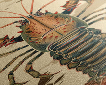 Load image into Gallery viewer, Detailed Lobster Illustration On Beige Background Skinny Art Wood Block Print Japanese Style Art Framed Canvas Print Tall Art Ukiyo-e Art
