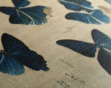Carregar imagem no visualizador da galeria, Butterfly canvas part, beautiful butterfly wall art, wall art for girls, living room art, guest room butterfly art
