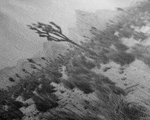 Load image into Gallery viewer, Desolate Desert with Joshua Trees, Framed Canvas Print for Living Room Decor, Ideal for Bedroom Wall Art, Rustic Western Scene
