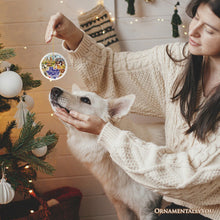Carregar imagem no visualizador da galeria, Artistic Austin Texas Christmas Ornament, Unique Ceramic Keepsake Souvenir and Gift
