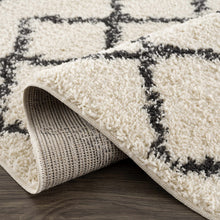 Load image into Gallery viewer, Wallagrass Moroccan Shag Rug - Clearance
