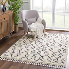 Load image into Gallery viewer, Pahala Moroccan Shag Area Rug - Clearance

