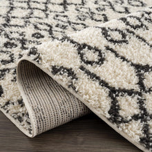 Load image into Gallery viewer, Muni Berber Shag Rug - Clearance
