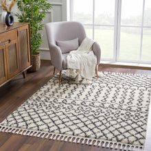 Load image into Gallery viewer, Muni Berber Shag Rug - Clearance
