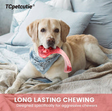 Load image into Gallery viewer, Steak Shape Beef Flavor Nylon Indestructible Dog Bone Chew Toy
