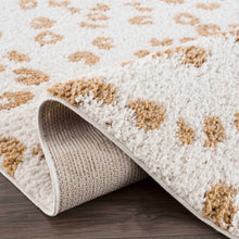 Carregar imagem no visualizador da galeria, Altin Area Rug - Clearance
