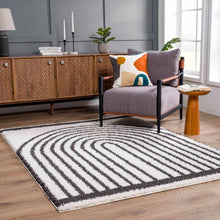 Carregar imagem no visualizador da galeria, Bauer Plush Black Rainbow Rug - Clearance
