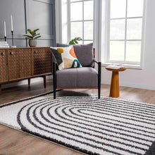 Carregar imagem no visualizador da galeria, Bauer Plush Black Rainbow Rug - Clearance
