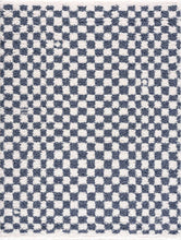 Load image into Gallery viewer, Kieu Blue &amp; White Checkered Area Rug
