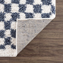 Load image into Gallery viewer, Kieu Blue &amp; White Checkered Area Rug
