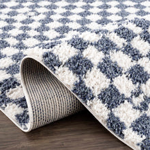 Load image into Gallery viewer, Kieu Blue &amp; White Checkered Area Rug
