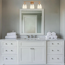 Load image into Gallery viewer, Brilliance Modern Farmhouse 3-Light Vanity Light
