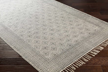 Load image into Gallery viewer, Brushton Area Rug - Promo
