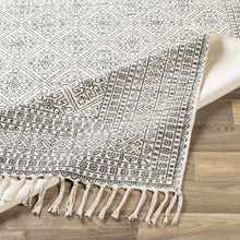 Load image into Gallery viewer, Brushton Area Rug - Promo
