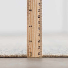 Load image into Gallery viewer, Brushton Area Rug - Promo
