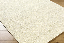 Load image into Gallery viewer, Bogdan Off-White Wool Rug

