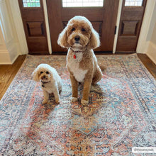 Carregar imagem no visualizador da galeria, Beck Non-Slip Washable Rug - Promo
