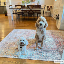 Carregar imagem no visualizador da galeria, Beck Non-Slip Washable Rug - Promo
