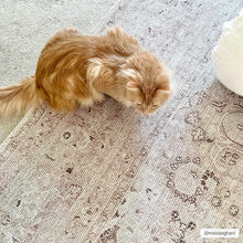 Cargar imagen en el visor de la galería, Bethany Vintage Flat Pile Washable Rug
