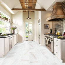 Carregar imagem no visualizador da galeria, Bianco Dolomite Golden Spider Marble Polished Floor and Wall Tile - Livfloors Collection
