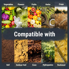 Carregar imagem no visualizador da galeria, Big Bud Kit: Complete Plant Nutrient Solution
