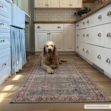 Load image into Gallery viewer, Dauis Blue Persian Style Washable Rug - Promo

