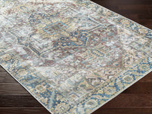 Carregar imagem no visualizador da galeria, Blue Catigpian Distressed Washable Area Rug - Clearance

