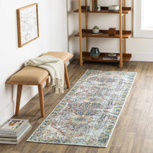 Carregar imagem no visualizador da galeria, Blue Catigpian Distressed Washable Area Rug - Clearance
