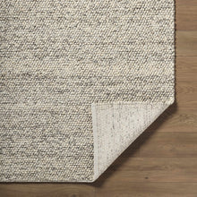 Cargar imagen en el visor de la galería, Clayne Beige &amp; Charcoal Premium Wool Area Rug
