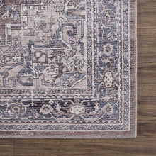 Carregar imagem no visualizador da galeria, Abner Washable Area Rug - Clearance
