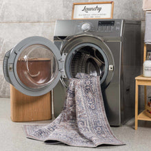Carregar imagem no visualizador da galeria, Abner Washable Area Rug - Clearance
