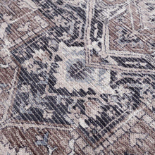 Carregar imagem no visualizador da galeria, Abner Washable Area Rug - Clearance
