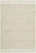 Carregar imagem no visualizador da galeria, Arlais Striped Area Rug

